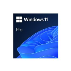 Windows 11 Pro 64